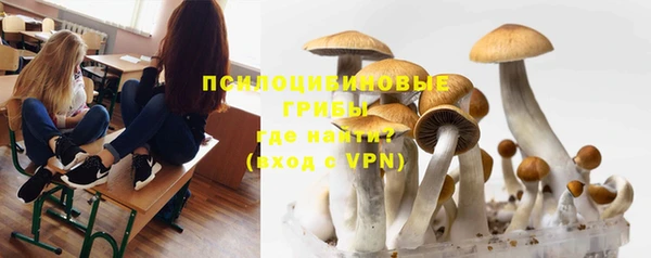 трава Нефтекумск